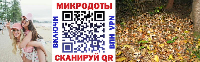 купить закладку  Зеленокумск  Галлюциногенные грибы Cubensis 